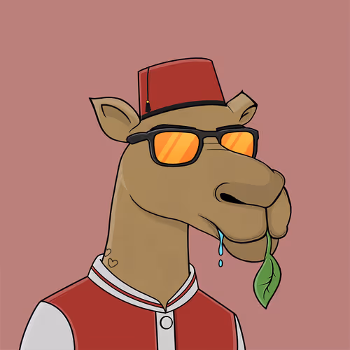 Camel #553