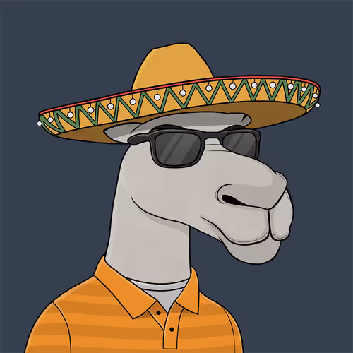 Camelsnftio 111