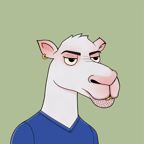 Camelsnftio 111