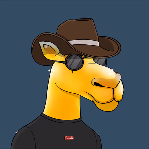 Camel #5873