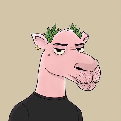 Camelsnftio 111
