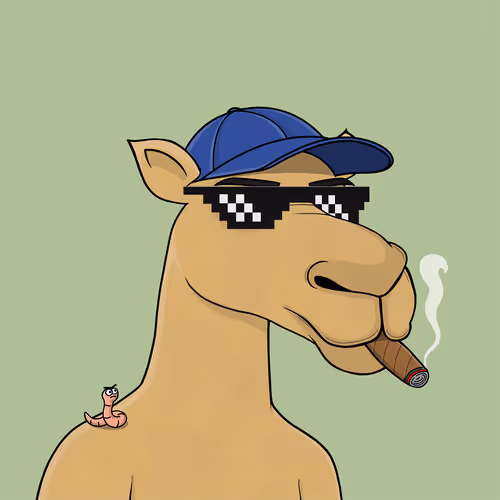 Camelsnftio 111