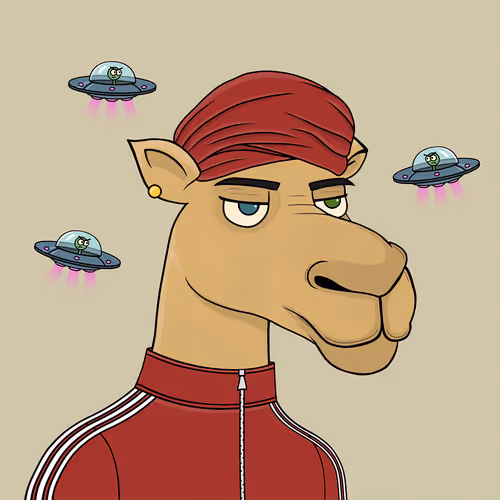 Camelsnftio 111