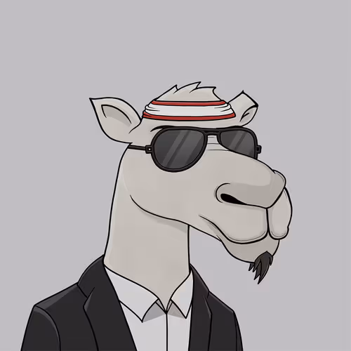 Camelsnftio 111