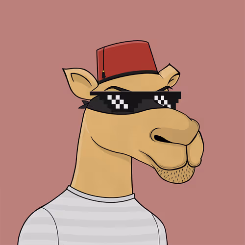 Camelsnftio 111