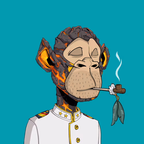 Tribe Odyssey