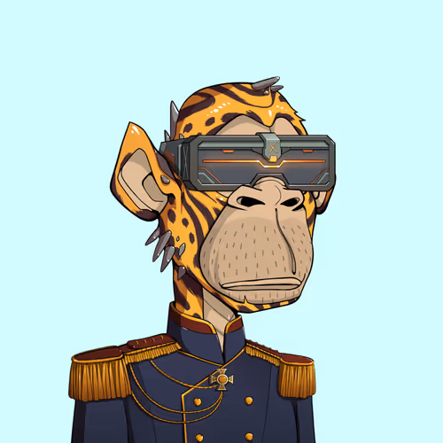 Tribe Odyssey