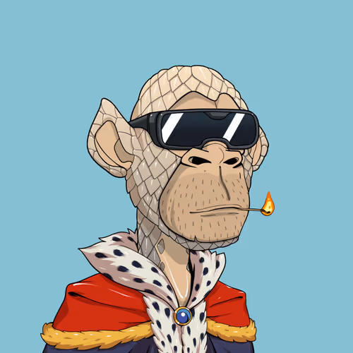 Tribe Odyssey