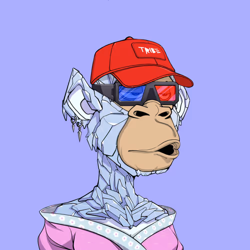 Tribe Odyssey