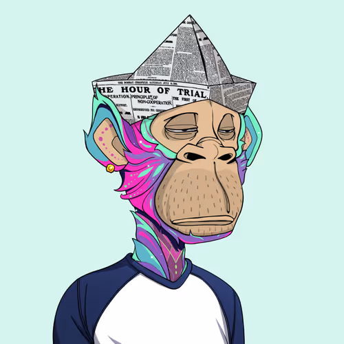 Tribe Odyssey