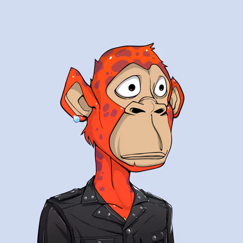 Tribe Odyssey