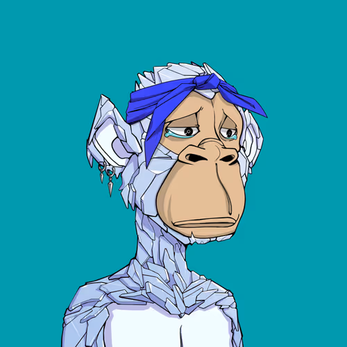 Tribe Odyssey