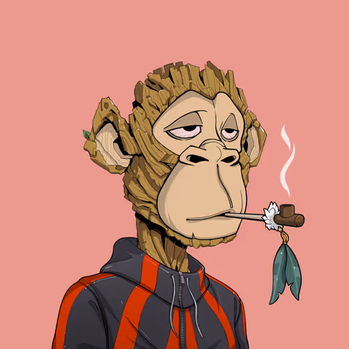 Tribe Odyssey
