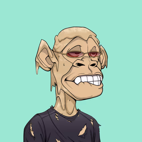 Tribe Odyssey