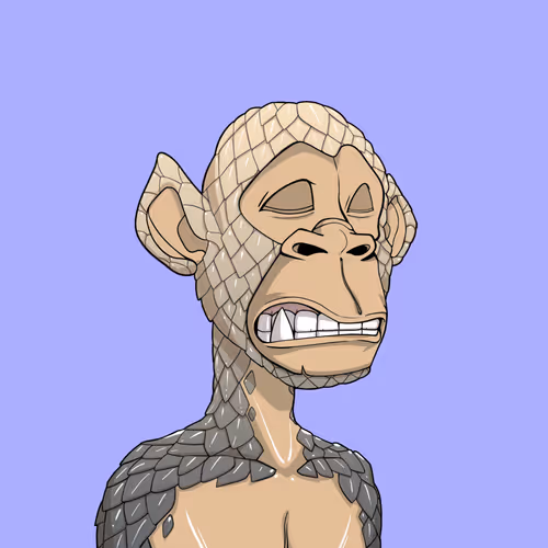 Tribe Odyssey