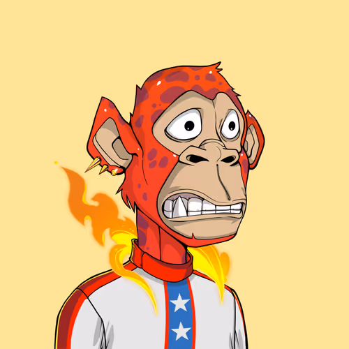 Tribe Odyssey