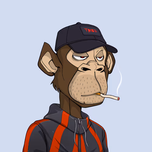Tribe Odyssey