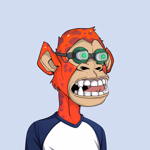 Tribe Odyssey