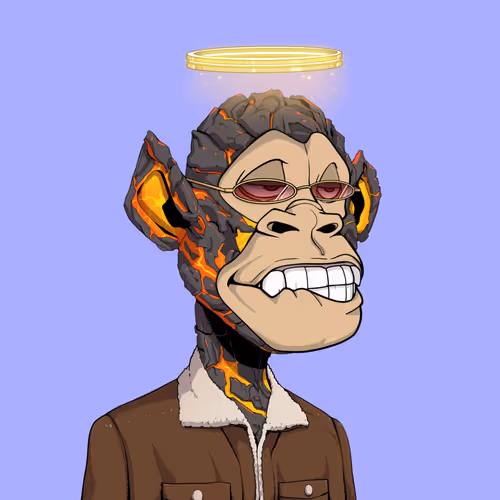 Tribe Odyssey