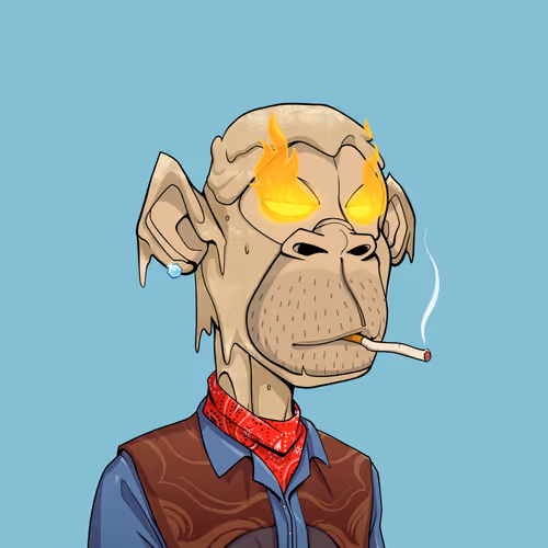 Tribe Odyssey