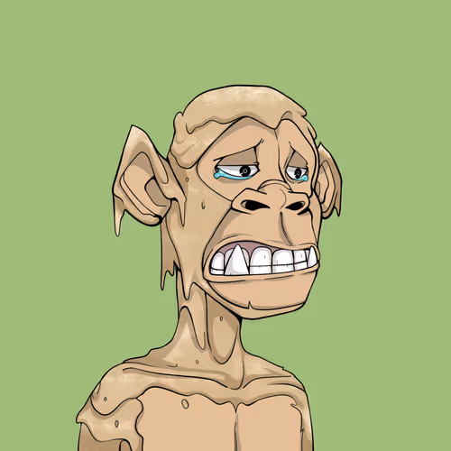 Tribe Odyssey
