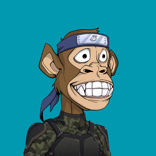 Tribe Odyssey