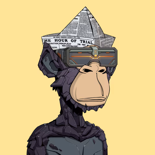 Tribe Odyssey