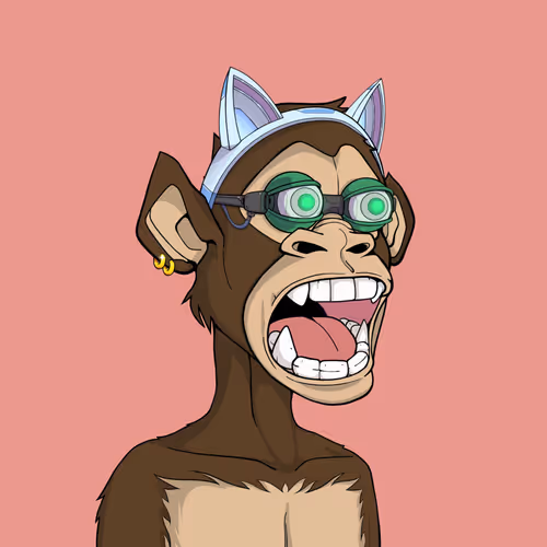 Tribe Odyssey