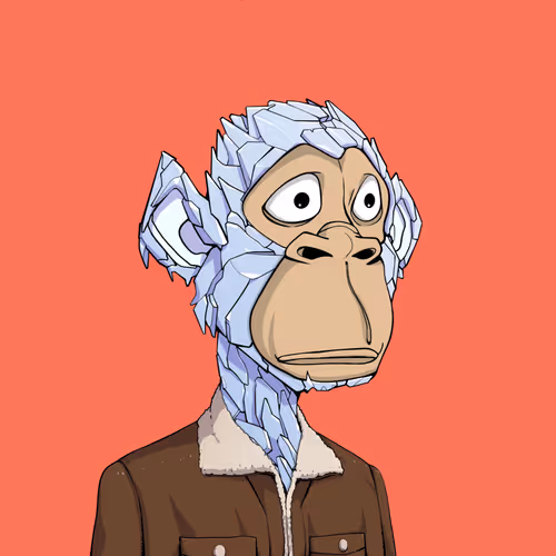 Tribe Odyssey