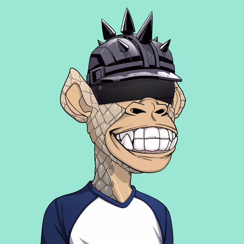 Tribe Odyssey