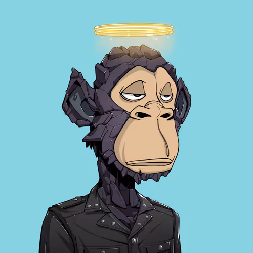 Tribe Odyssey