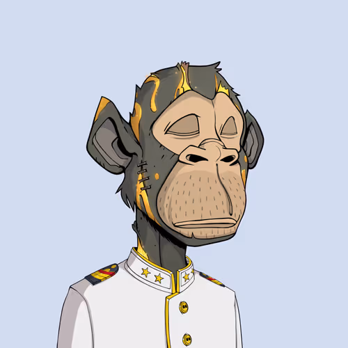 Tribe Odyssey