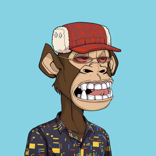 Tribe Odyssey