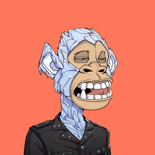 Tribe Odyssey