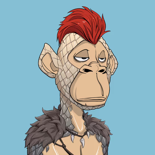 Tribe Odyssey