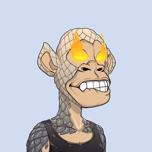 Tribe Odyssey