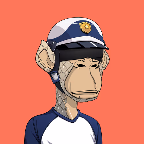 Tribe Odyssey