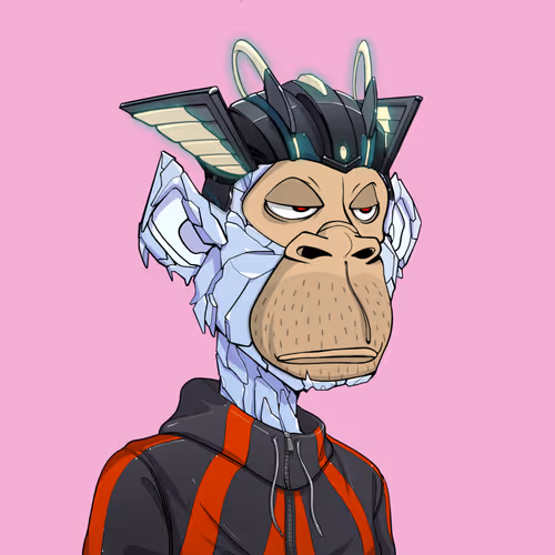 Tribe Odyssey