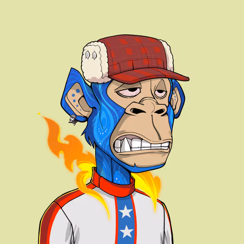 Tribe Odyssey