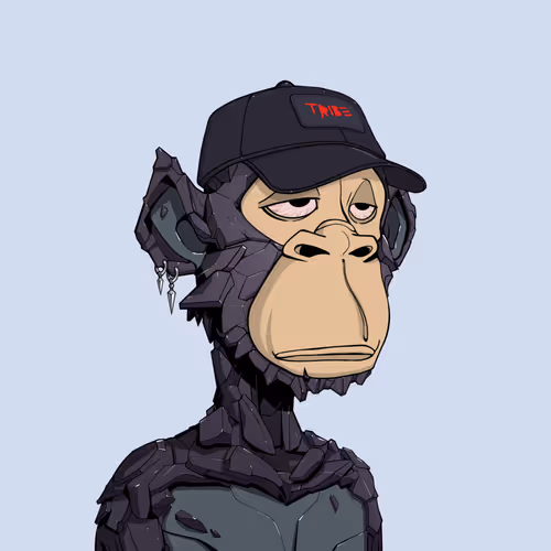 Tribe Odyssey