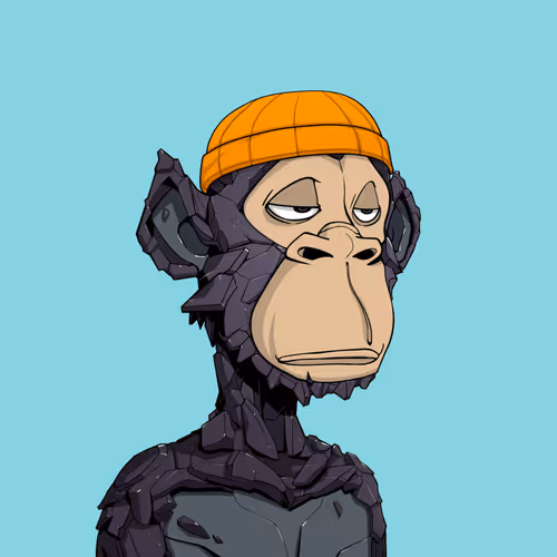 Tribe Odyssey