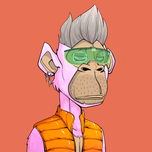 Tribe Odyssey