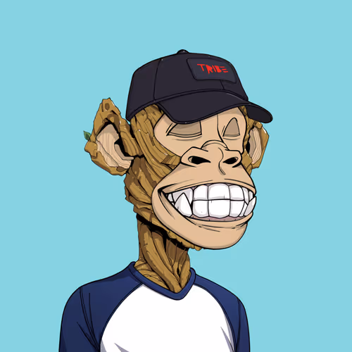 Tribe Odyssey