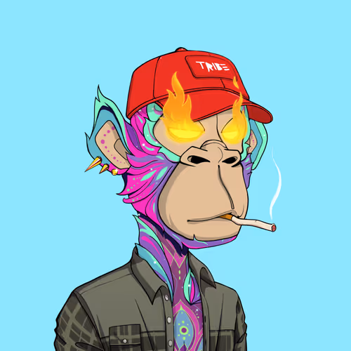 Tribe Odyssey