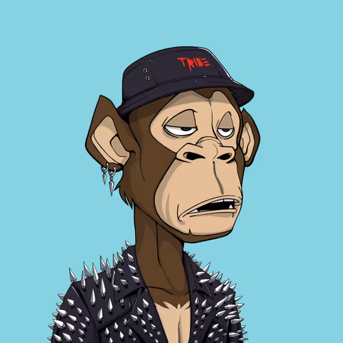 Tribe Odyssey