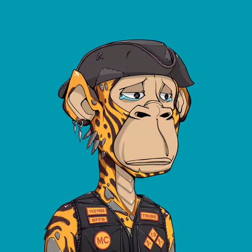 Tribe Odyssey