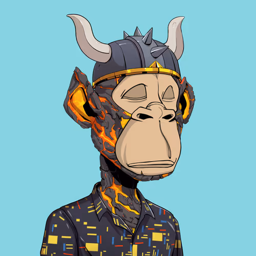 Tribe Odyssey