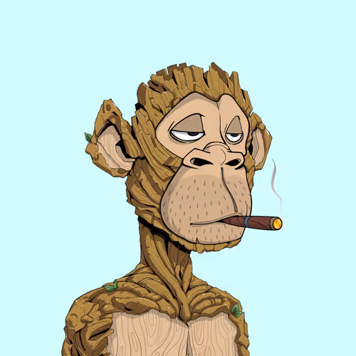 Tribe Odyssey