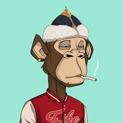 Tribe Odyssey