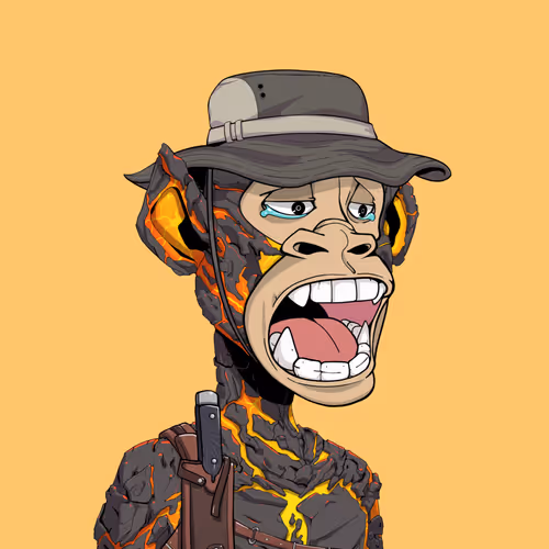 Tribe Odyssey